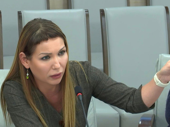 Александра Машкова-Благих: “Как принятие этого суперзакона поможет настоящим и будущим жертвам? Никак. (18.06.24)